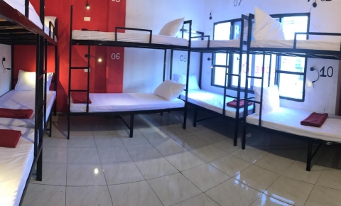 Single Bed in Mixed Dormitory Room