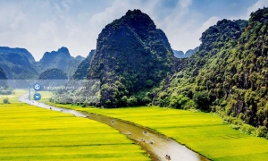 Hoa Lu Tam Coc 1 Day Tour