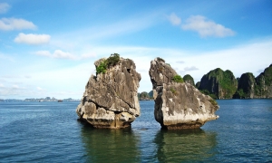 Halong Bay 1 Day 4  Hours Cruise