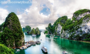 Halong Bay 1 Day 4  Hours Cruise