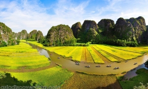 Hoa Lu Tam Coc 1 Day Tour