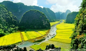Hoa Lu Tam Coc 1 Day Tour