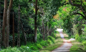 Bai Dinh Pagoda – Trang An – Cuc Phuong National Park Private 2 Days 1 Night