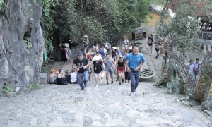 Bai Dinh Pagoda – Trang An – Mua Cave – Cuc Phuong National Park Private  2 Days 1 Night