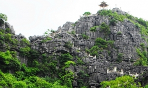 Bai Dinh Pagoda – Trang An – Mua Cave – Cuc Phuong National Park Private  2 Days 1 Night