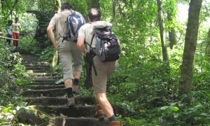 Bai Dinh Pagoda – Trang An – Mua Cave – Cuc Phuong National Park Private  2 Days 1 Night