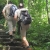 Bai Dinh Pagoda – Trang An – Mua Cave – Cuc Phuong National Park Private  2 Days 1 Night