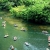 Bai Dinh Pagoda – Trang An – Cuc Phuong National Park Private 2 Days 1 Night