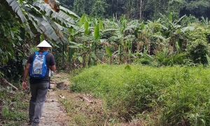 Bai Dinh Pagoda – Trang An – Cuc Phuong National Park Private 2 Days 1 Night