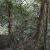 Bai Dinh Pagoda – Trang An – Mua Cave – Cuc Phuong National Park Private  2 Days 1 Night