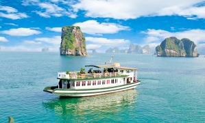 Halong Bay 1 Day - 7 Hours Cruise With New High Way Express